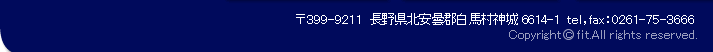 長野県北安曇郡白馬村神城6614-1　チューンナップ　フィット